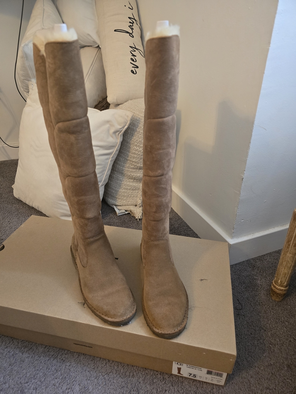 UGG Tall Knee High Suede Boots in Chestnut
